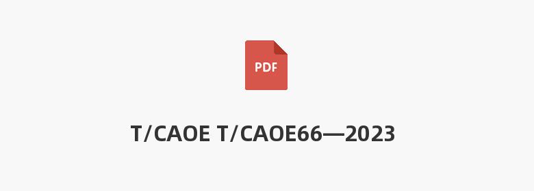 T/CAOE T/CAOE66—2023